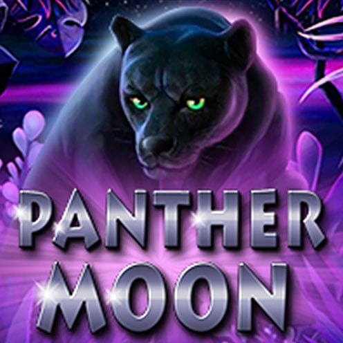 Panther Moon